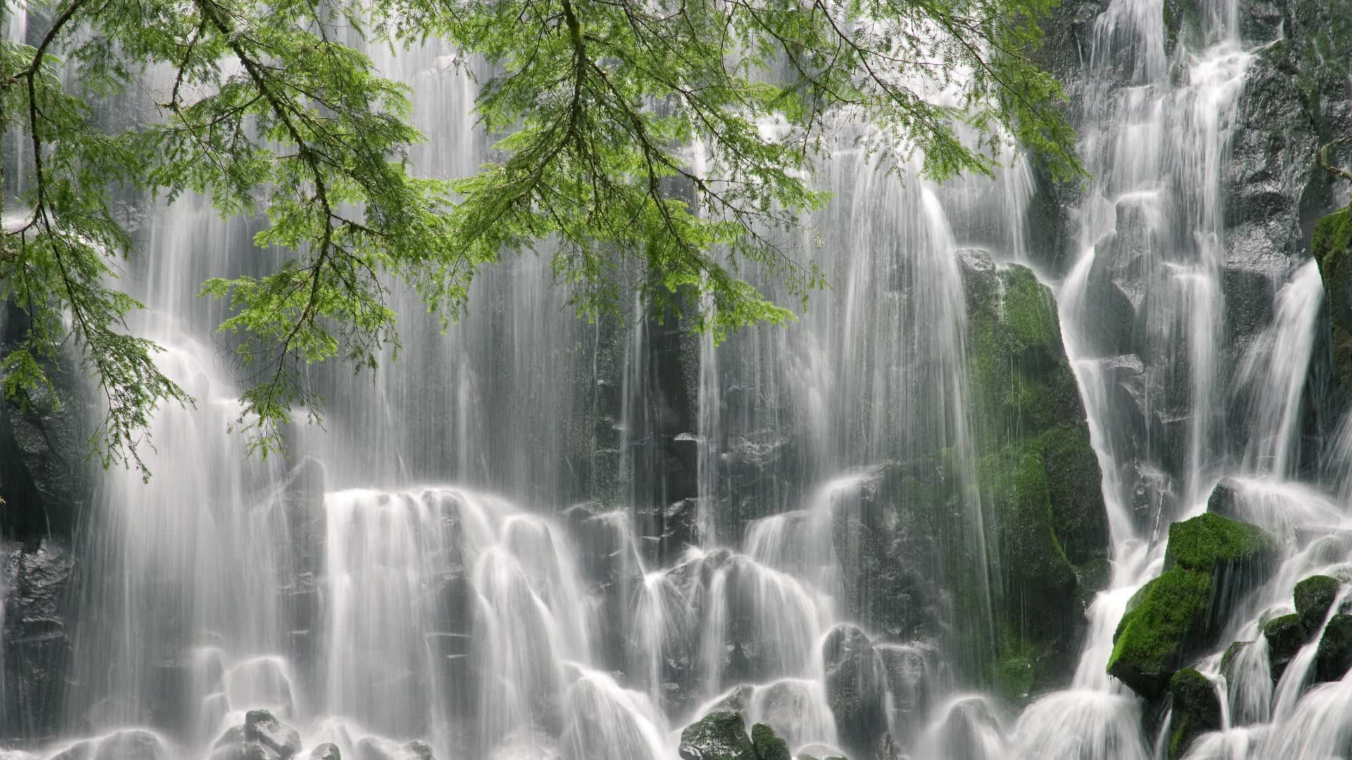 世界乒乓球联赛青训导师国际轮岗第八批名单公布，世界乒乓球联合会